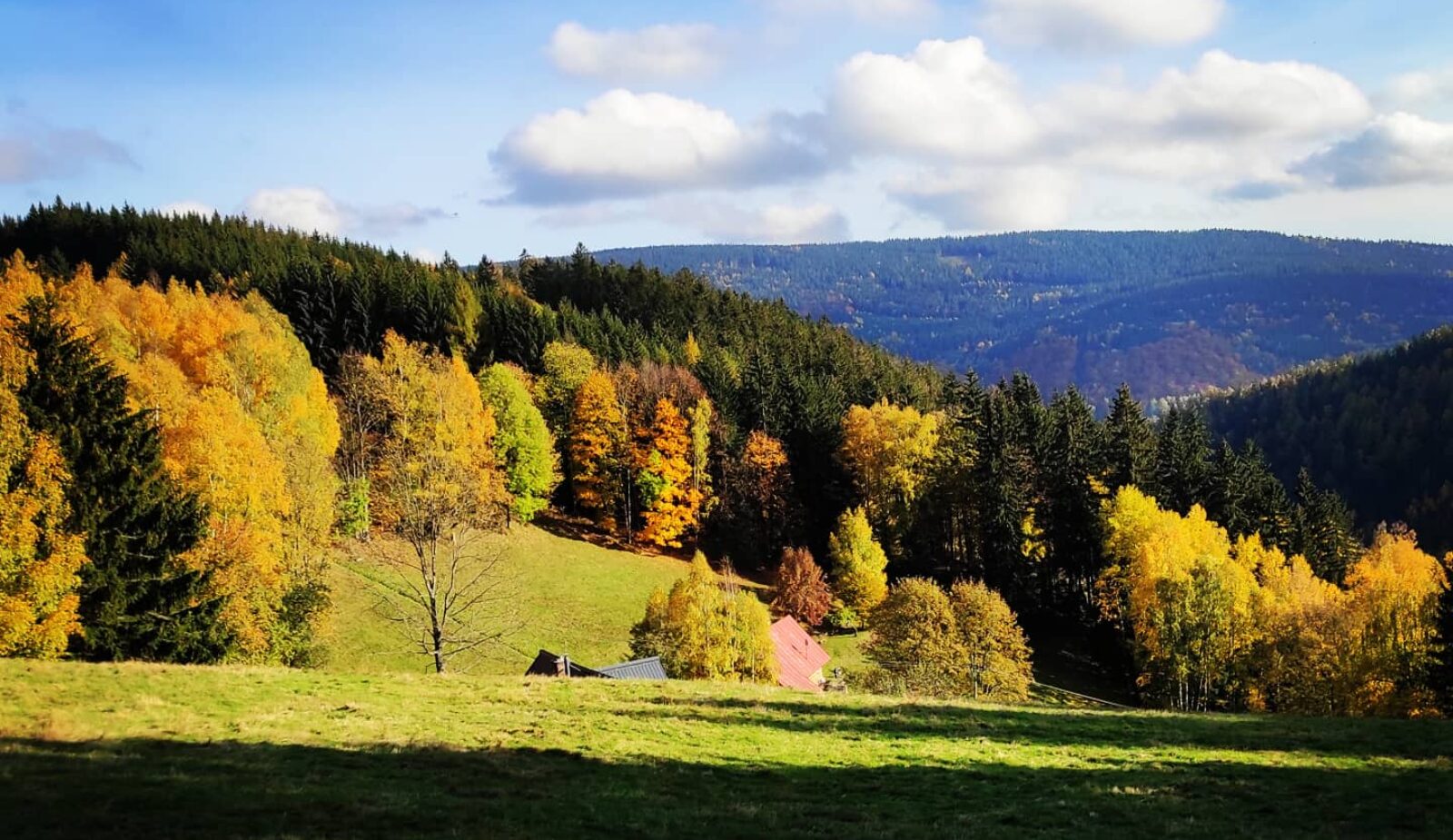 MED-KRKONOŠE.cz
