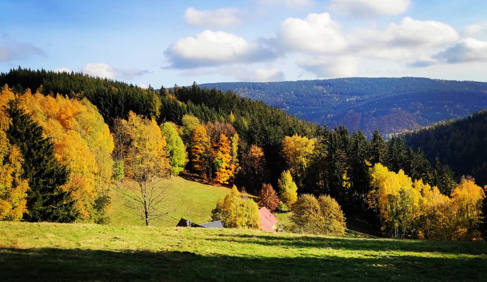 Med-Krkonose.cz